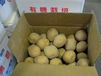 日本一美味しい白ジャガイモが入荷しました。_e0120896_16151454.jpg