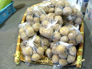 日本一美味しい白ジャガイモが入荷しました。_e0120896_16231343.jpg