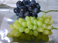 葡萄の収穫の日々。_f0018099_22265016.jpg