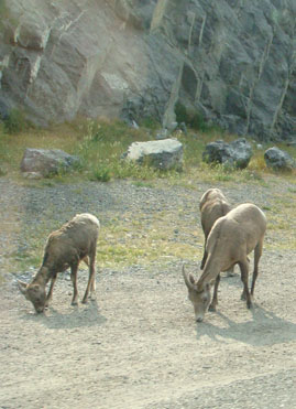 Canada 08 summer_b0118001_6263276.jpg