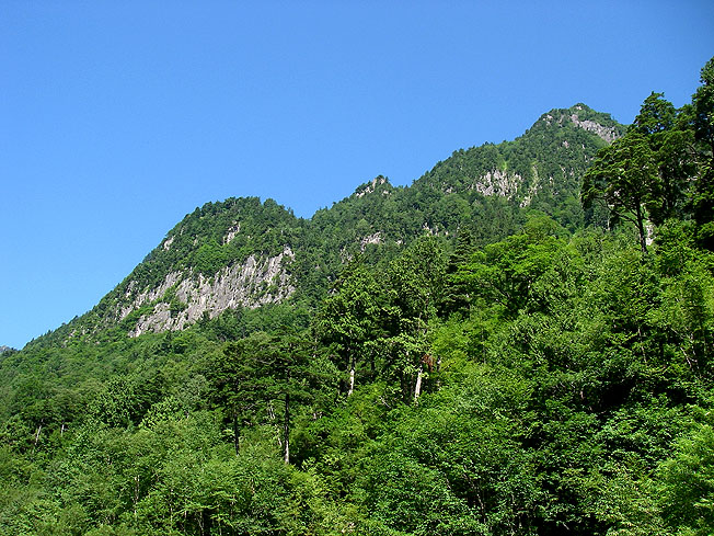 北アルプスのイワナ釣り(その1)_c0095801_2325174.jpg