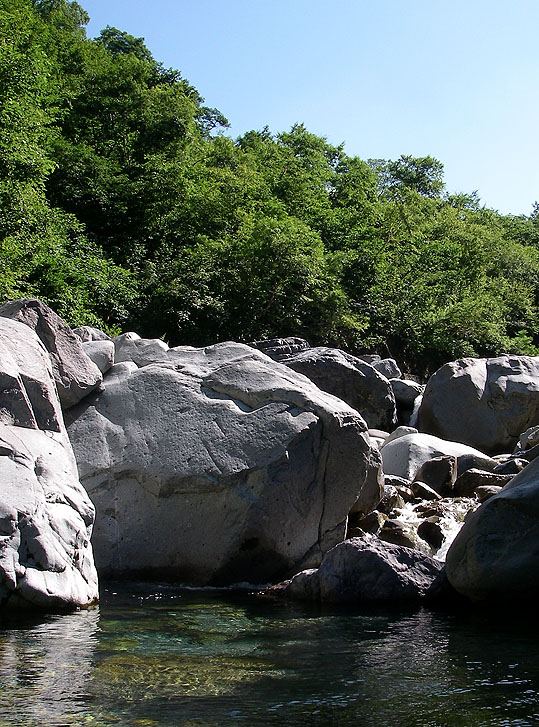 北アルプスのイワナ釣り(その1)_c0095801_23252354.jpg