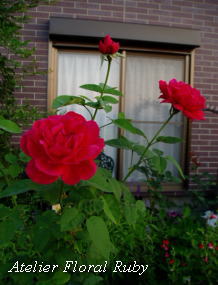 d0001008_8335158.jpg