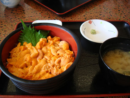 a0068810_1551172.jpg
