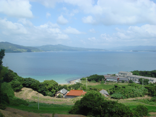 癒しのひととき_b0131012_1425843.jpg
