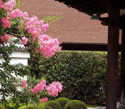 一休寺_e0048413_20554166.jpg