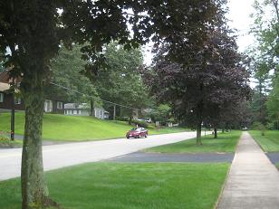 f0135018_226354.jpg