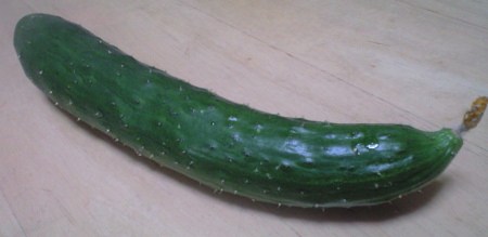 c0163323_1937363.jpg