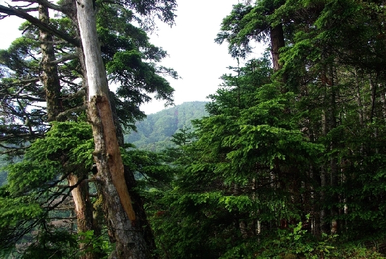 関東有数の高山・男体山（2,484.5m） #2_b0062024_5194886.jpg