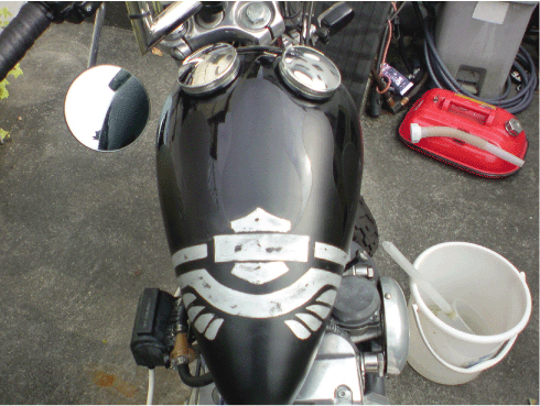 c0006028_163469.gif