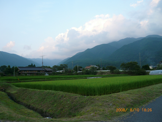 ８月１０日スッキリしたかしもの夏_c0092937_624090.jpg