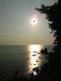 d0007957_11124.jpg