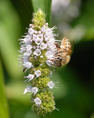 e0035757_16191888.jpg