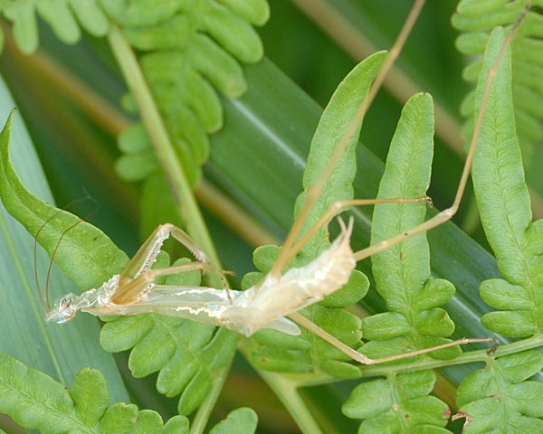 e0035757_16204072.jpg