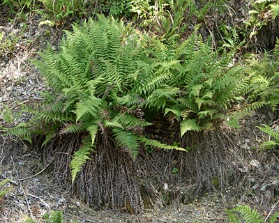 e0035757_16291526.jpg