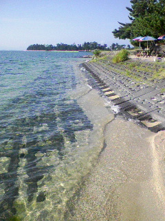 f0044557_833667.jpg