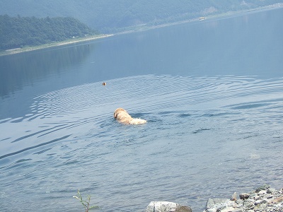 c0097558_118289.jpg