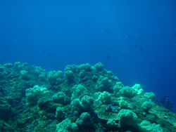 f0164662_18594985.jpg