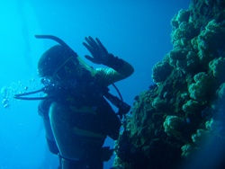 f0164662_1931224.jpg