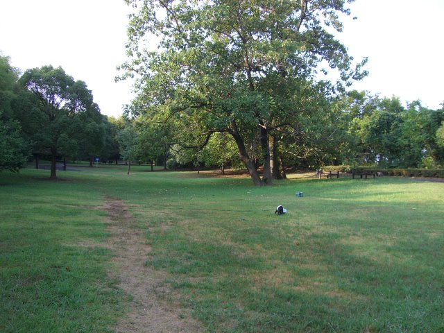 c0081363_95029.jpg