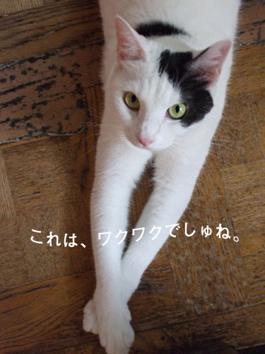 a0064067_2253125.jpg
