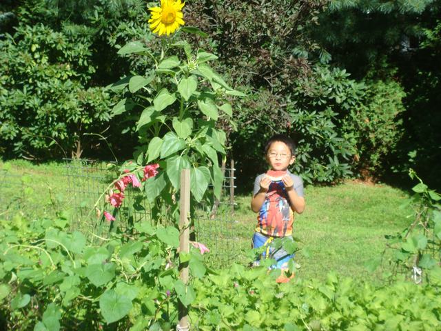 d0100880_1012451.jpg