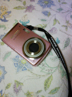 c0049489_7454987.jpg