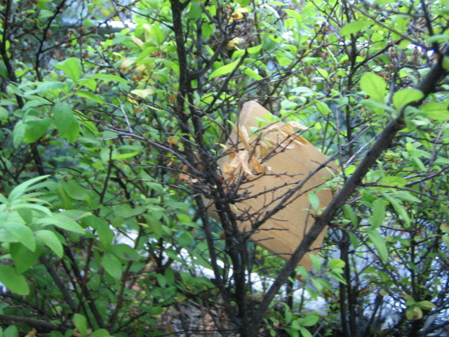 f0170995_11292428.jpg