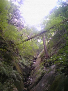 d0090800_15202422.jpg