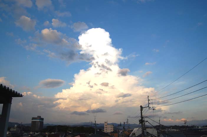 たぁ~まや~_f0150413_9315347.jpg
