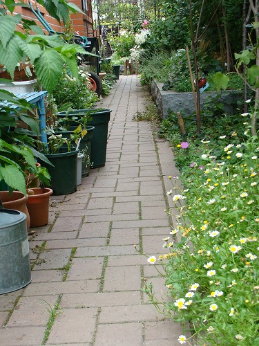 f0170524_1745312.jpg