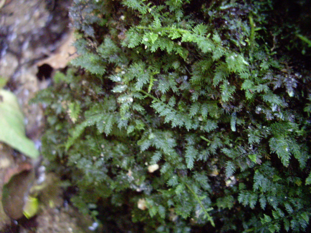 d0150727_22104816.jpg