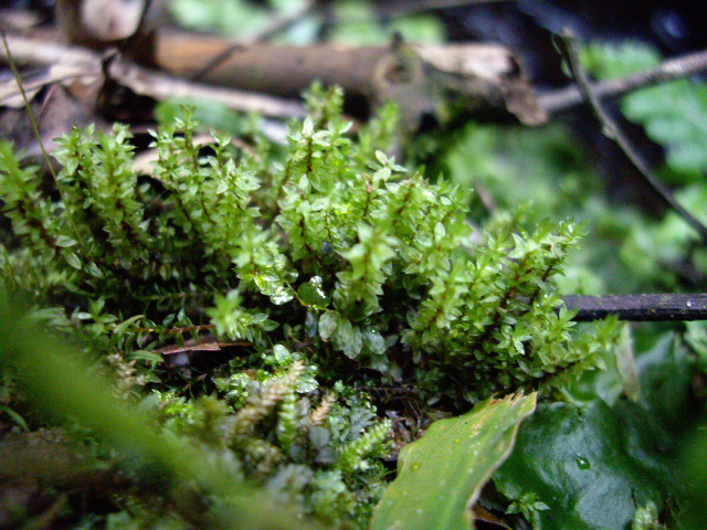 d0150727_2225137.jpg
