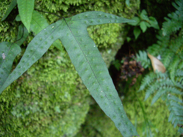 d0150727_22341236.jpg