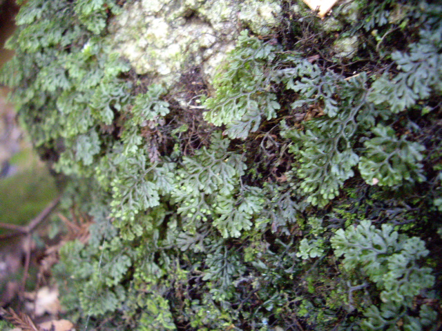 d0150727_2246289.jpg