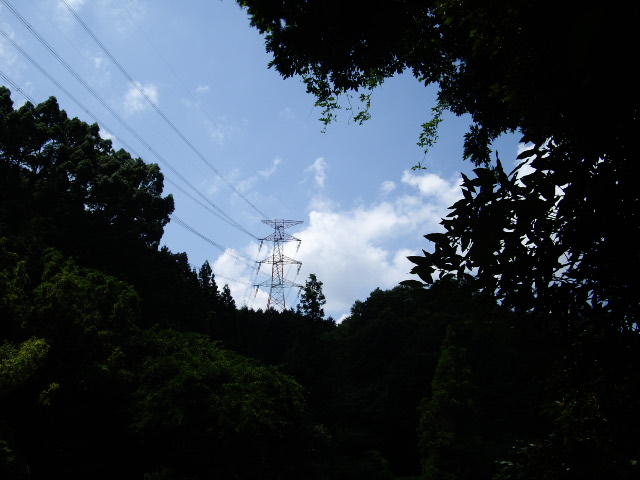 d0150727_22471480.jpg