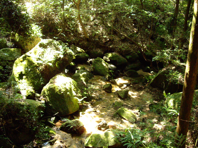 d0150727_2291413.jpg