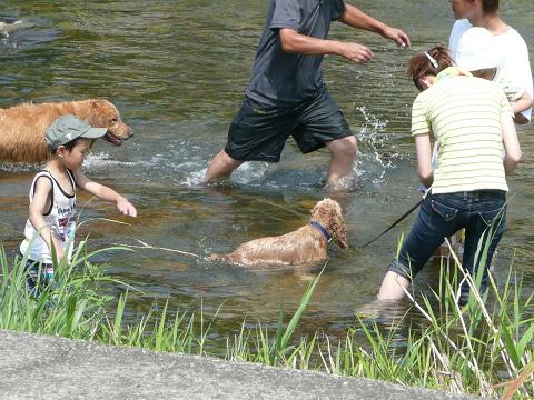 ８月10日　川遊び_f0114128_1103282.jpg