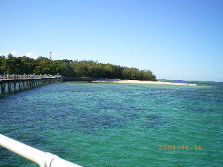 d0054930_9527.jpg