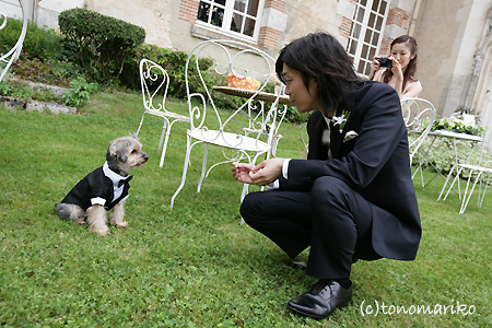 結婚式でおじゃま犬_c0024345_95296.jpg