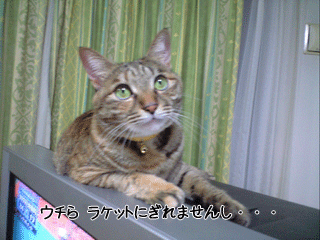 f0116546_22595818.gif