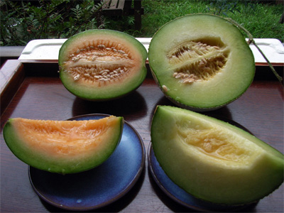 プロ農家産vs.家庭菜園産_c0063348_13215844.jpg