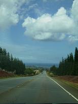 c0164052_1111978.jpg