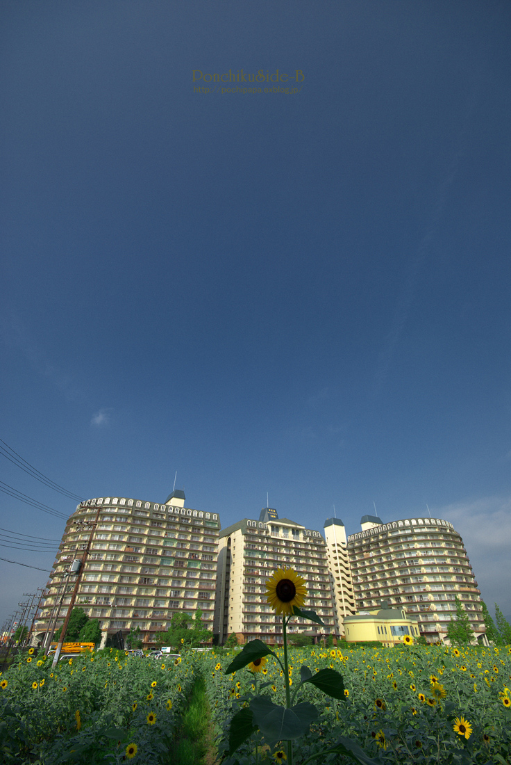 c0123759_10135383.jpg