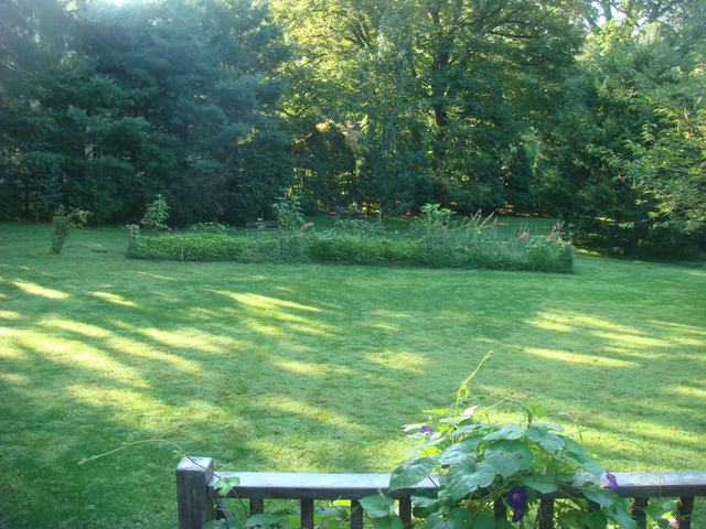 d0100880_20492258.jpg