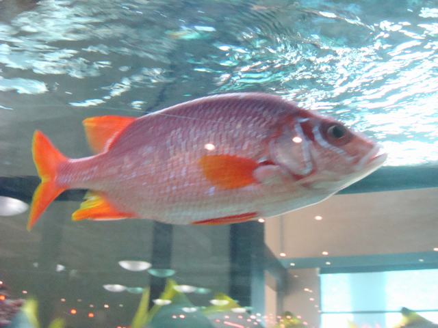 d0100880_9392935.jpg
