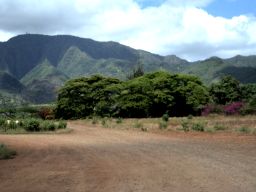 オールドハワイ*WAIALUA_f0106487_22392161.jpg