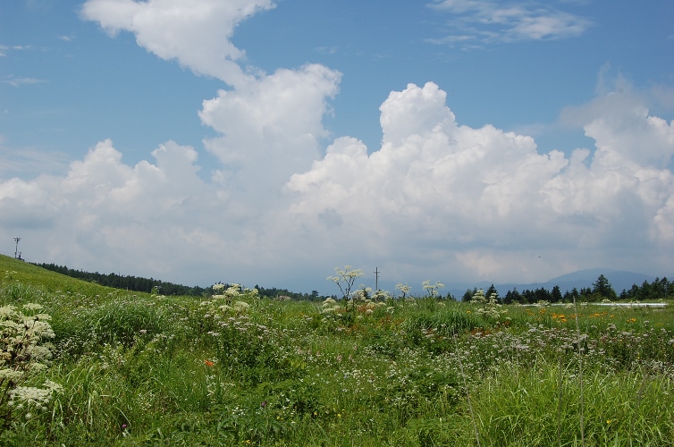 d0153294_20114543.jpg