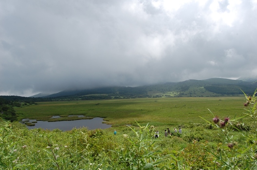 d0153294_2081555.jpg