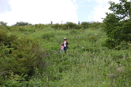 d0153294_209144.jpg
